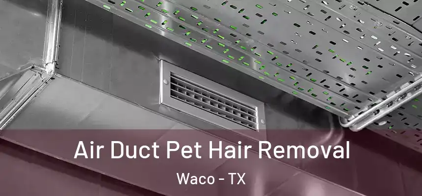  Air Duct Pet Hair Removal Waco - TX
