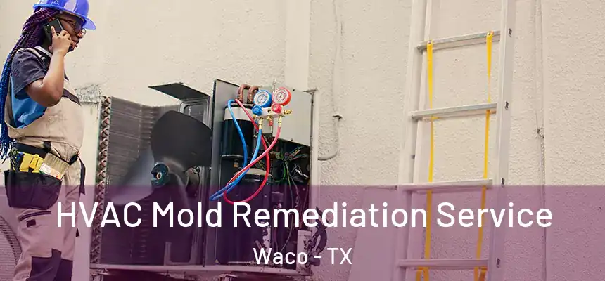 HVAC Mold Remediation Service Waco - TX