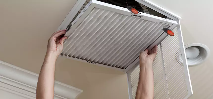 Our Insect Removal from Air Ducts Services in Waco, TX