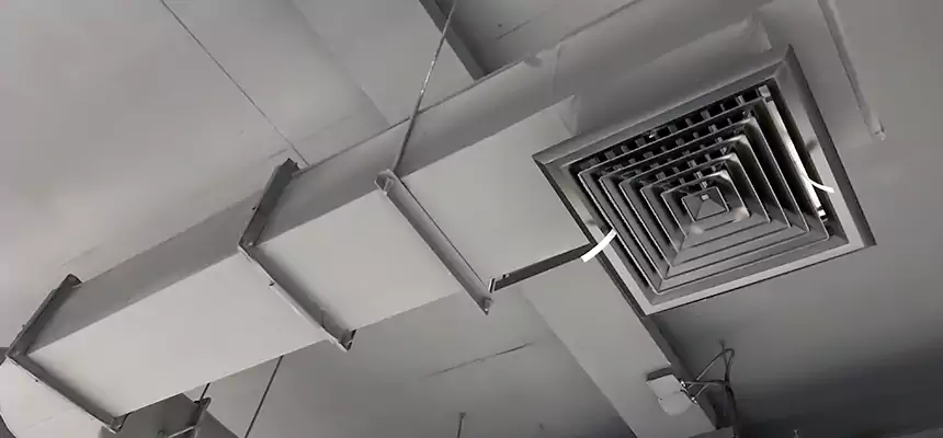 Our Pest Removal From Ducts Services in Waco, TX