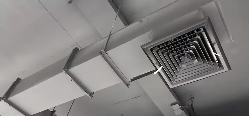 Our Rodent Droppings In Vents Services in Waco, TX