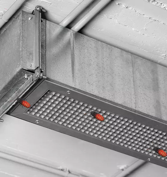 About Air Duct Cockroach Removal in Waco, TX