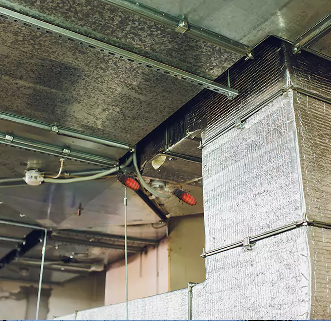 Why Homeowners & Businesses Trust Us Waco, TX?